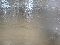Isolante t�rmico para galp�es