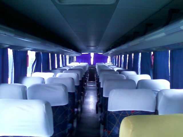 classificados de negócios sp